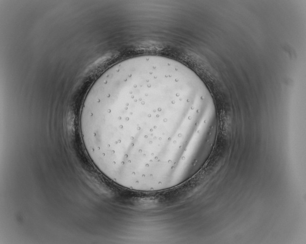 X0000114210692200911061446