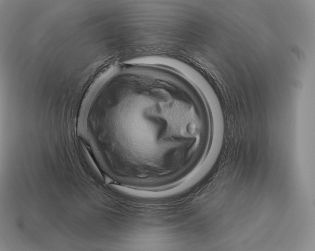 X0000114210693200911061446