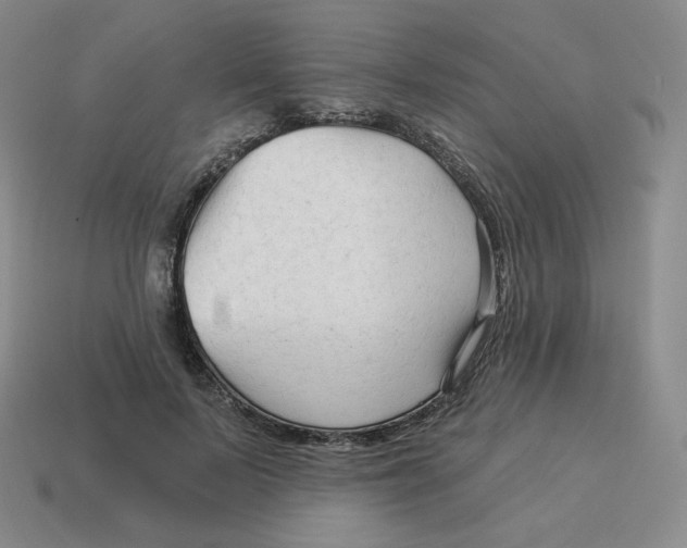 X0000114210695200911061446