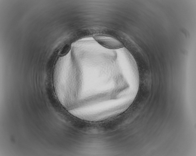 X0000114210696200911061446