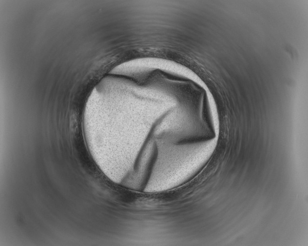 X0000114210699200911061446