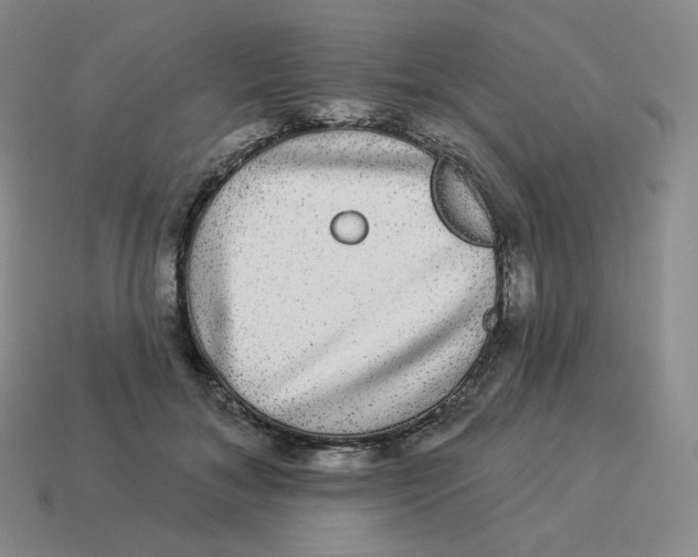 X0000114210700200911061446