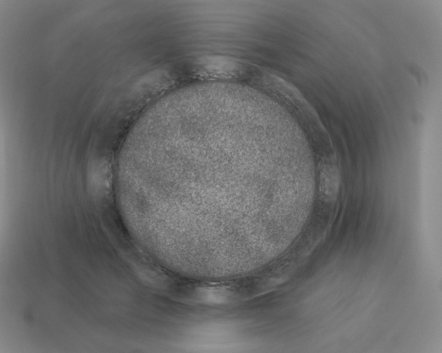 X0000114210701200911061446