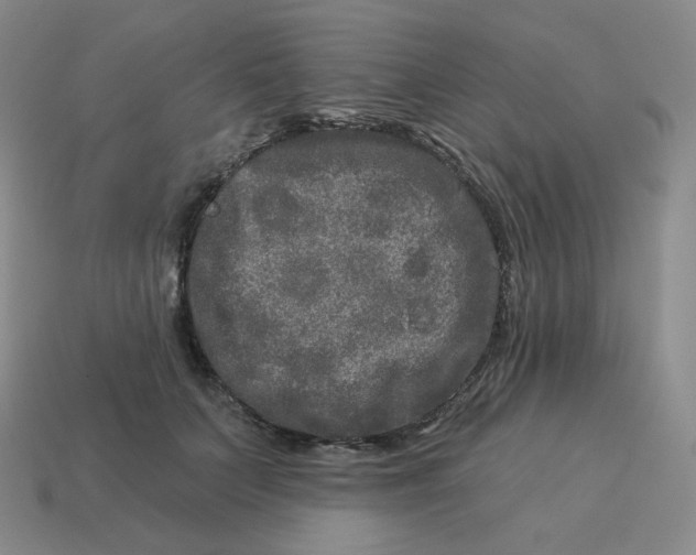 X0000114210703200911061445