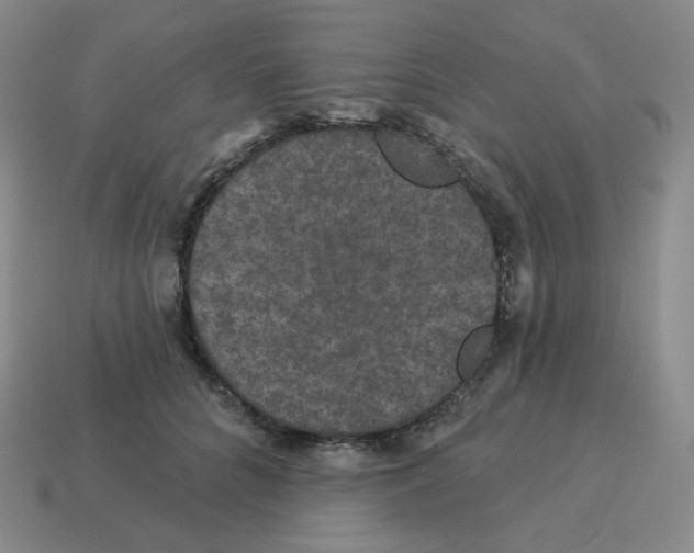 X0000114210704200911061445