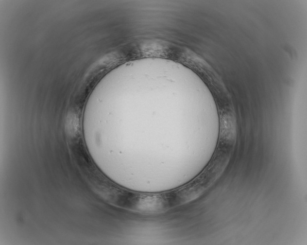 X0000114210705200911061445