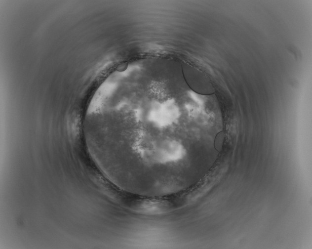 X0000114210708200911061445