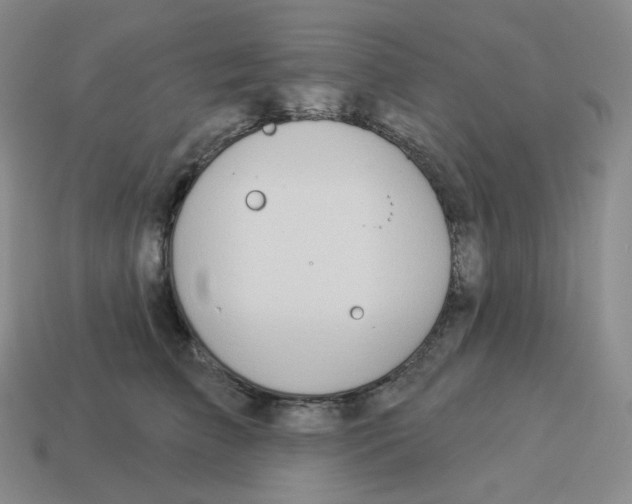 X0000114210709200911061445