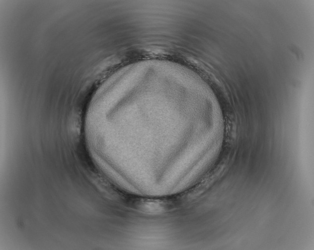 X0000114210710200911061445