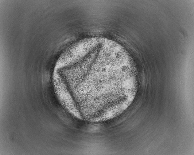 X0000114210711200911061445