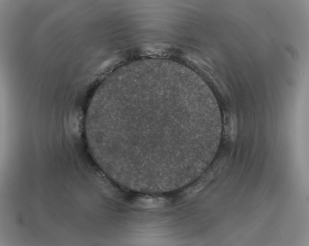 X0000114210712200911061445