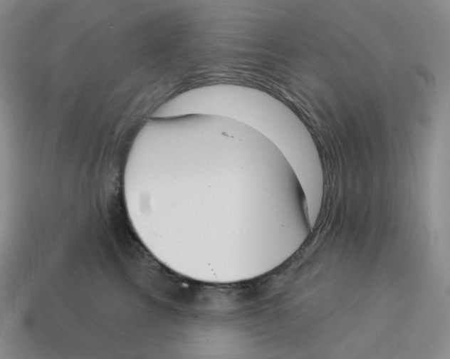 X0000114210713200911061445