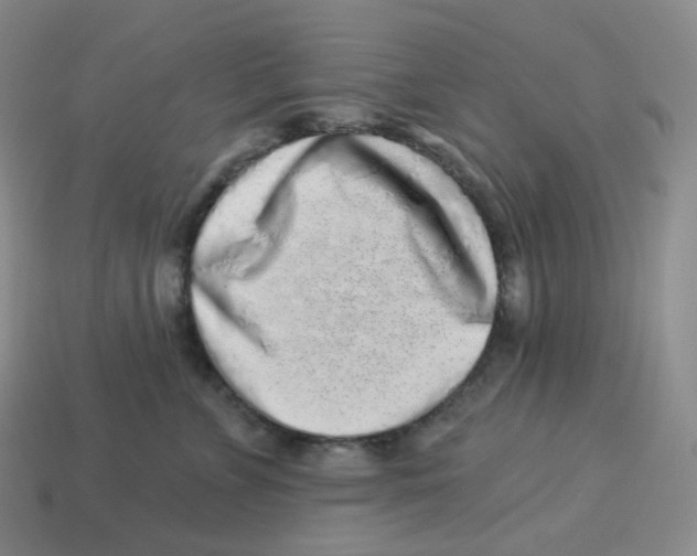 X0000114210715200911061445