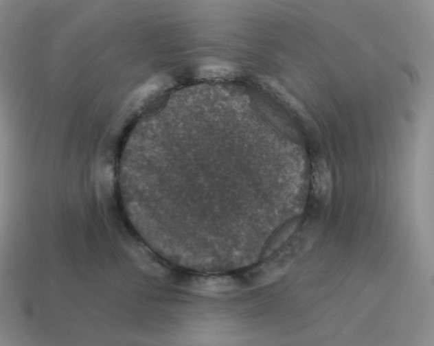 X0000114210716200911061445