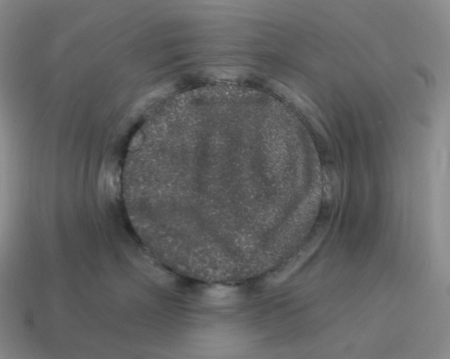 X0000114210718200911061445