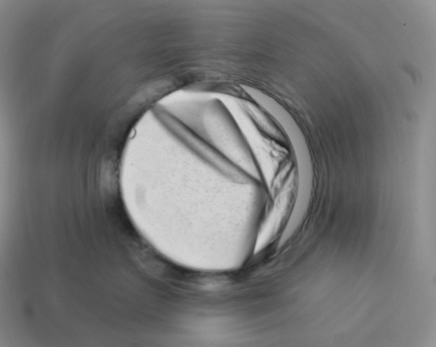 X0000114210719200911061445