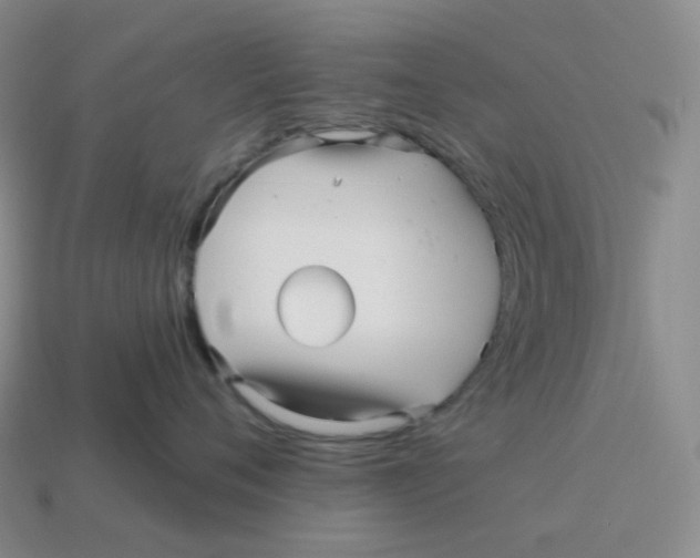 X0000114210720200911061445