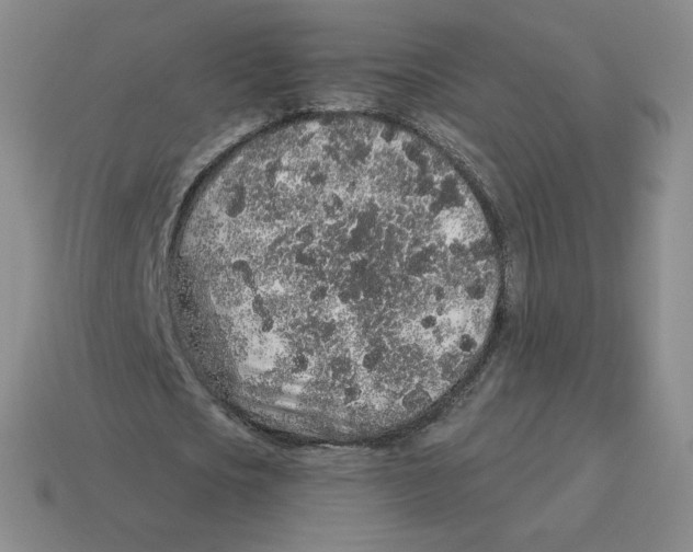 X0000114210721200911061444