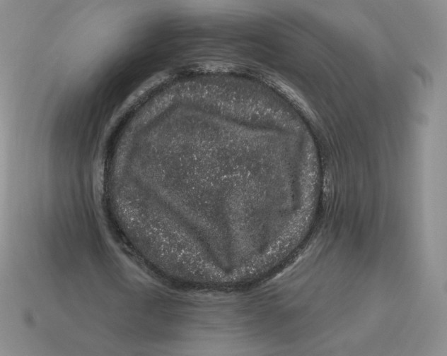 X0000114210722200911061444