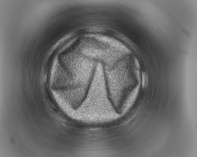 X0000114210723200911061445