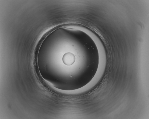 X0000114210724200911061445