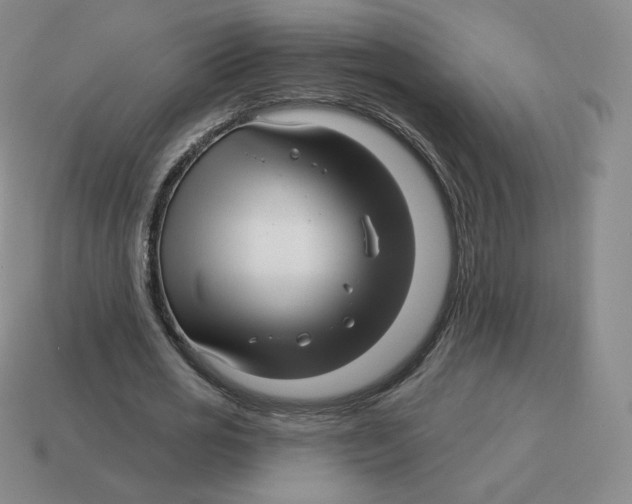 X0000114210725200911061445