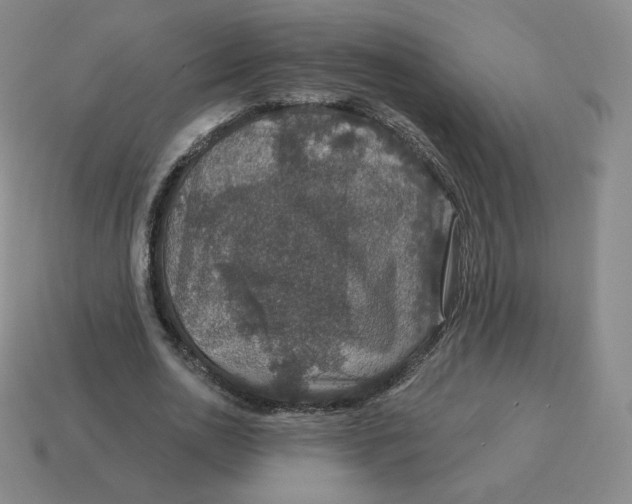 X0000114210726200911061445