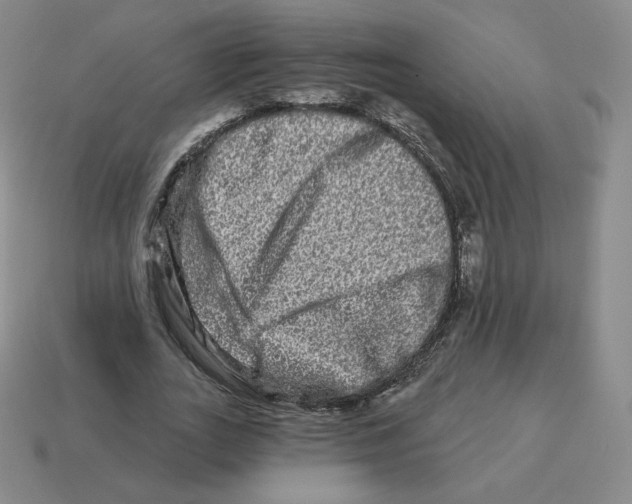 X0000114210727200911061445