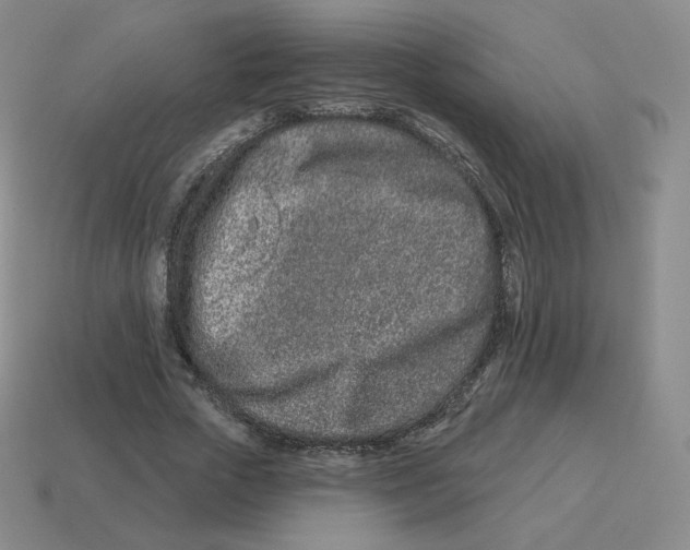 X0000114210729200911061445