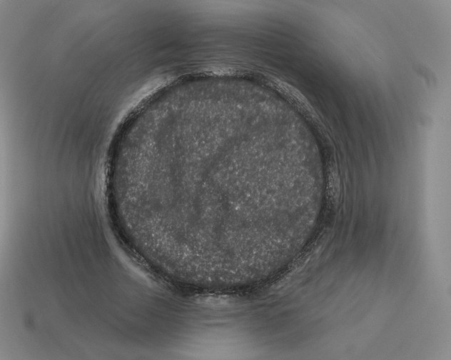 X0000114210730200911061445