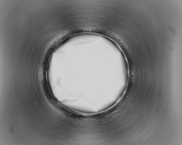 X0000114210734200911061445