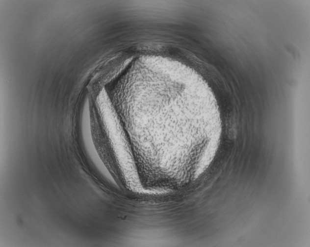 X0000114210735200911061445