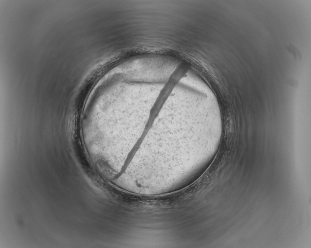 X0000114210736200911061445