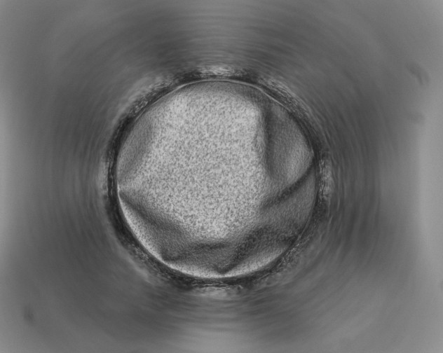 X0000114210738200911061445