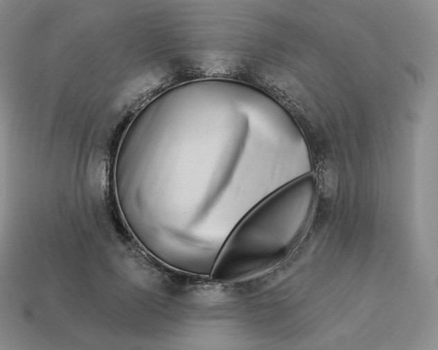 X0000114210740200911061445