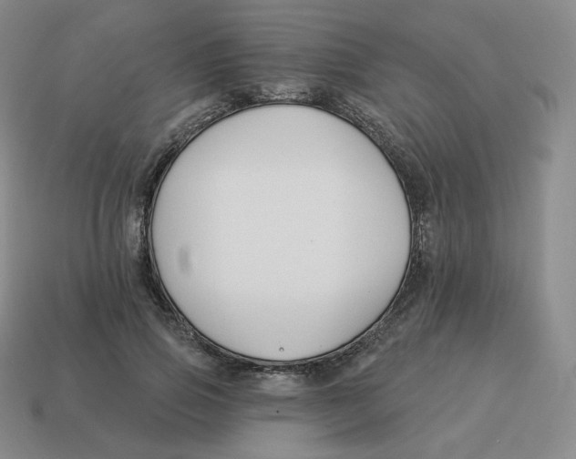 X0000114210741200911061445