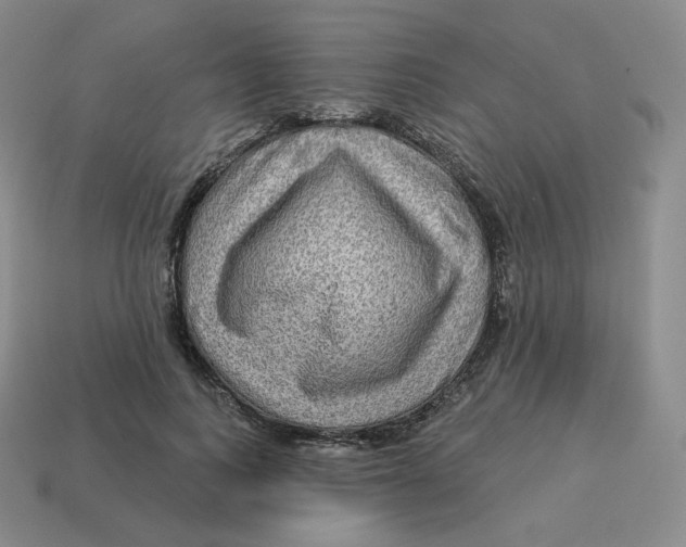 X0000114210743200911061445