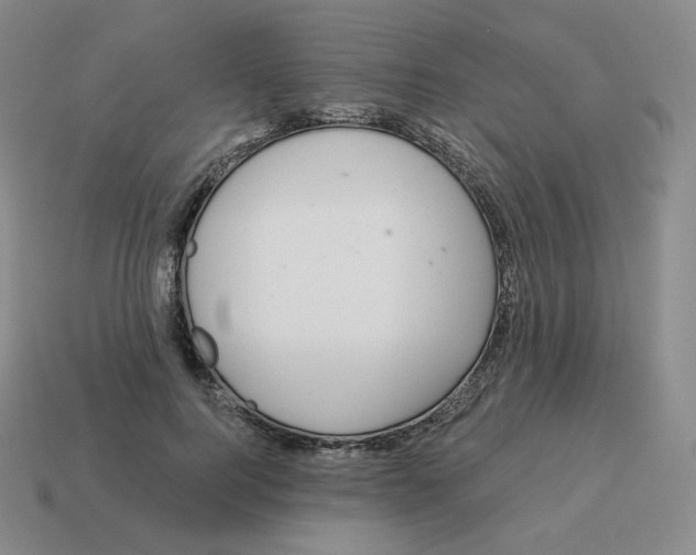 X0000114210744200911061445