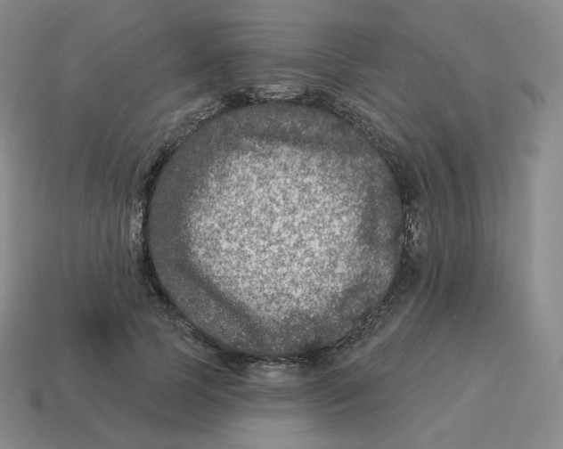 X0000114210745200911061445
