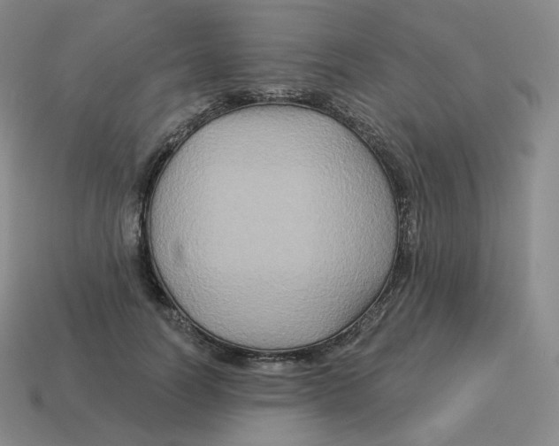 X0000114210746200911061445