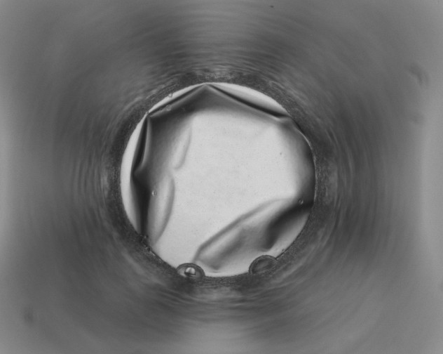 X0000114210747200911061445