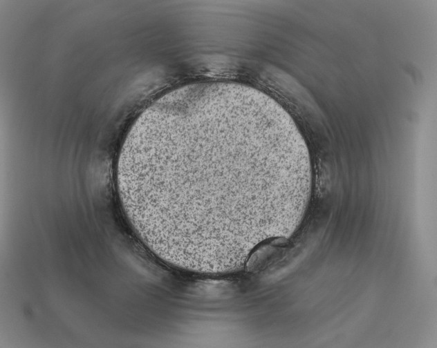 X0000114210748200911061445