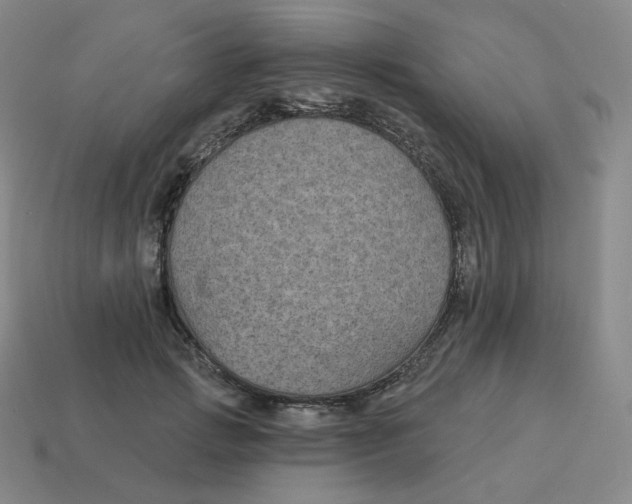 X0000114210749200911061445