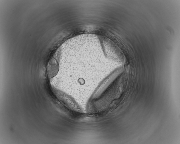 X0000114210750200911061445