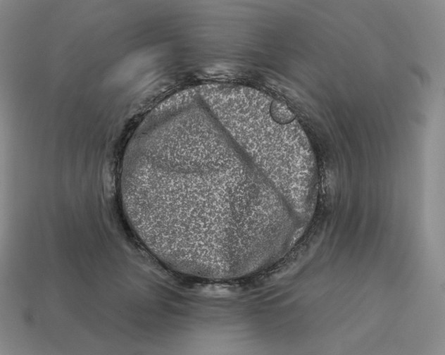 X0000114210751200911061445