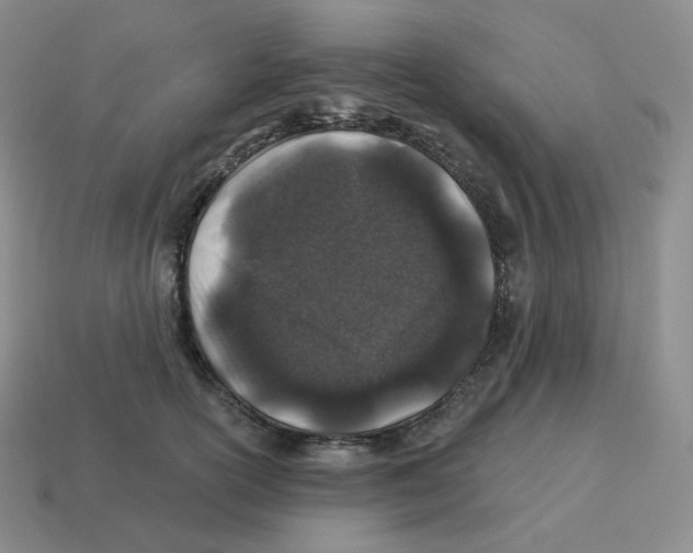 X0000114210754200911061445