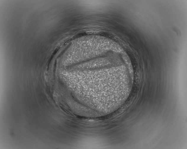 X0000114210755200911061445