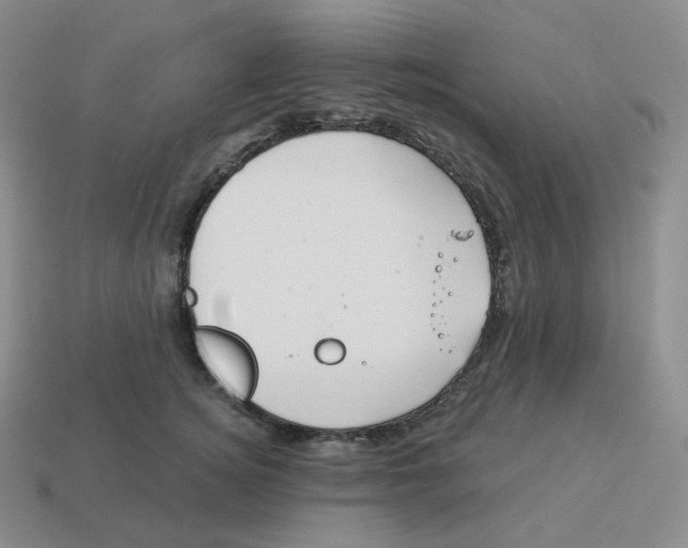 X0000114210756200911061445