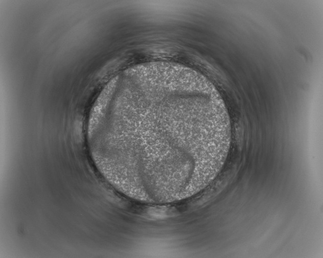 X0000114210757200911061445