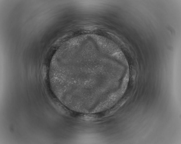 X0000114210758200911061445